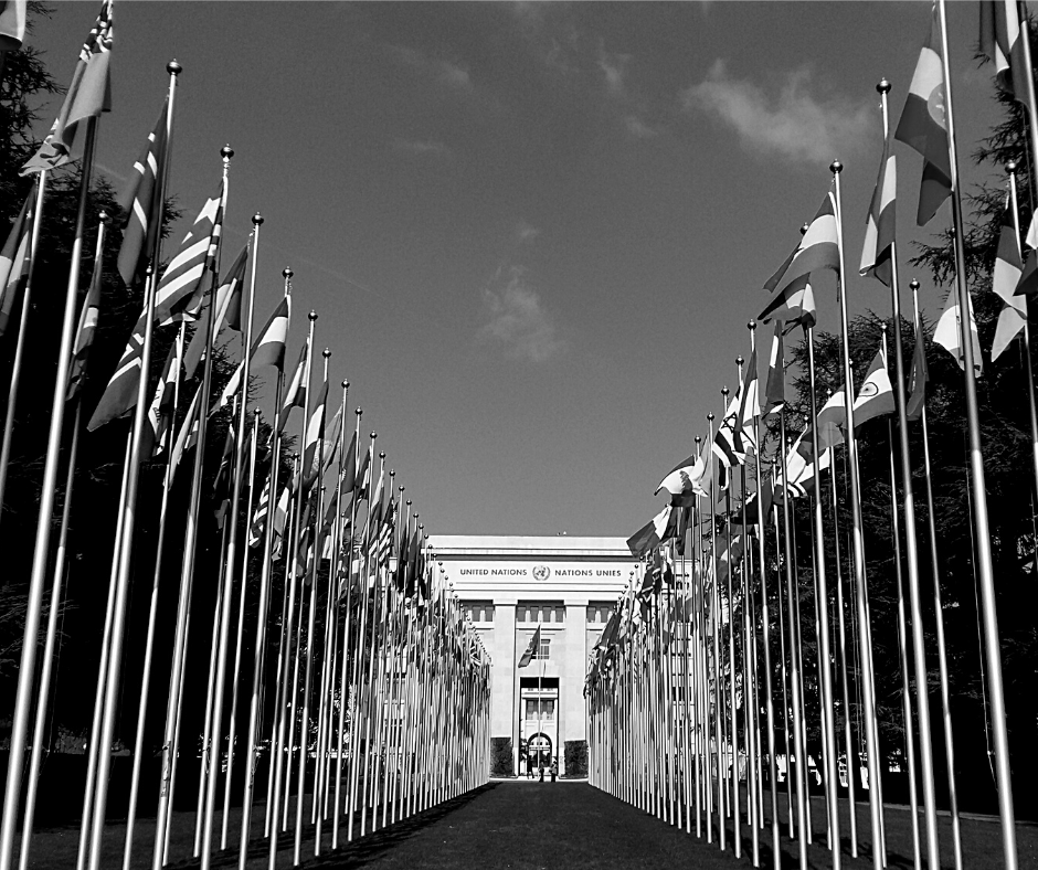 convención derechos discapacidad