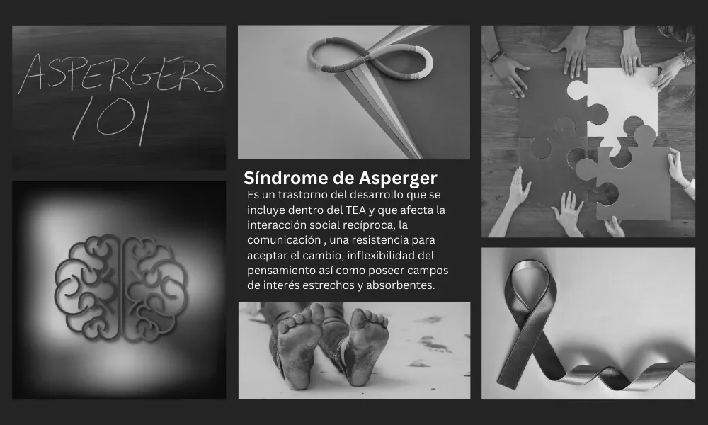 rol companeros inclusion